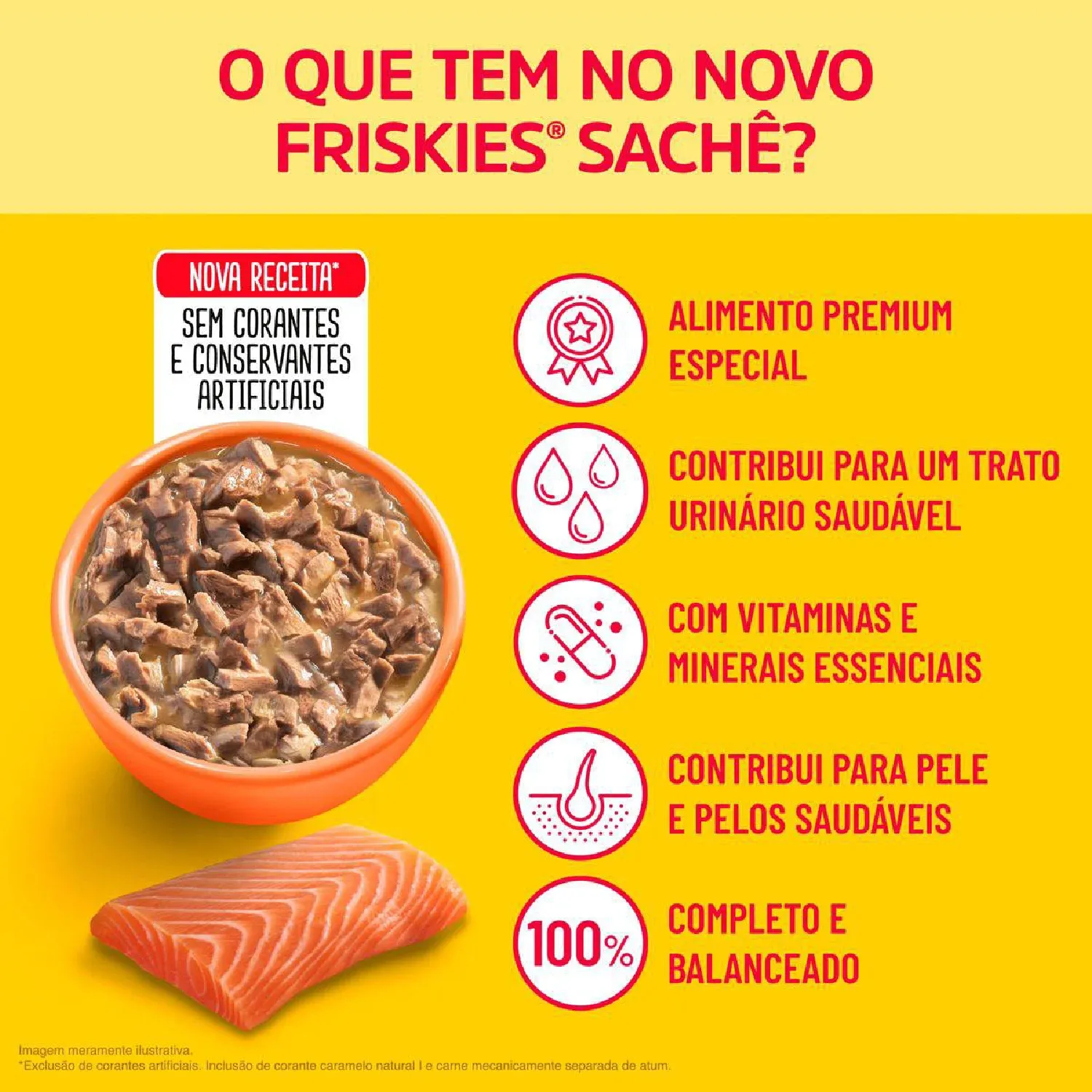 Racao Umida Friskies Gatos Adultos Salmao ao Molho beneficios-06